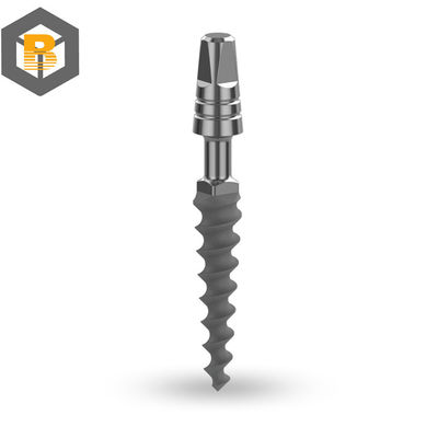 Modèle de démonstration d'implants dentaires pour surdentité avec implants inférieurs et pièce de machine de précision